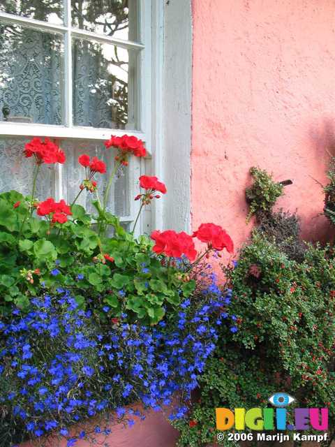 19393 Flowers in Golden Vale Farmhouse window